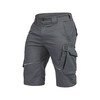 Leibwachter FLEX-LINE  Short Grijs/Zwart