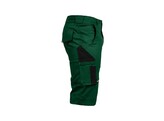 Leibwachter FLEX-LINE  Short Groen/Zwart