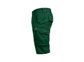 Leibwachter FLEX-LINE  Short Groen/Zwart