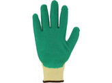 Asatex 3570 Latex Glove Green/Yellow